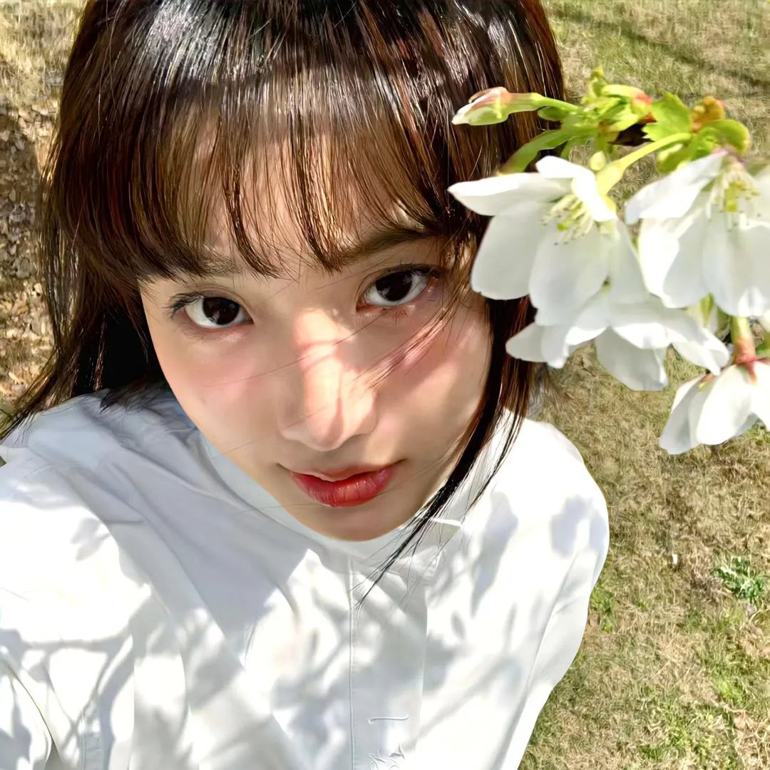 第3朵玫瑰